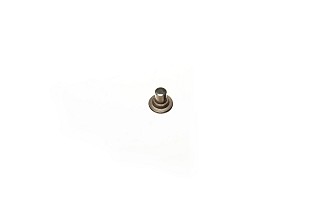 Pivot Shoe Rivet